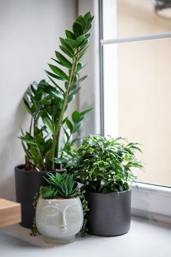 #Stayhere - Cozy 1Bdr Apartment Vilnius Old Town エクステリア 写真